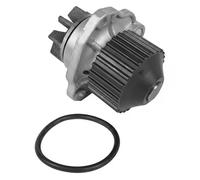 DAYCO DP193 Pompa acqua