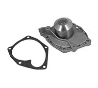 DAYCO DP196 Pompa acqua