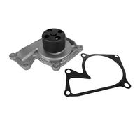 Dayco Pompa acqua DP200 - Raffreddamento motore - Renault Dacia Nissan Mercedes-Benz Infiniti
