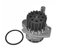 DAYCO DP206 Pompa acqua