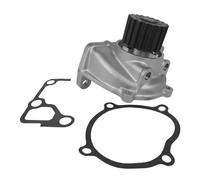 DAYCO DP207 Pompa acqua