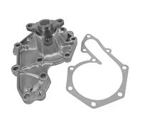 DAYCO DP266 Pompa acqua