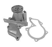 DAYCO DP270 Pompa acqua