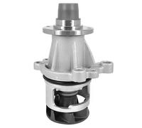 DAYCO Pompa acqua