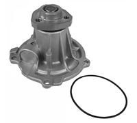 DAYCO Pompa acqua