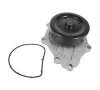 DAYCO DP278 Pompa acqua