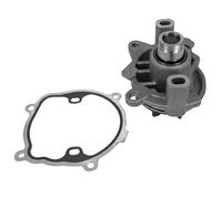 DAYCO DP279 Pompa acqua