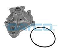 DAYCO POMPA ACQUA