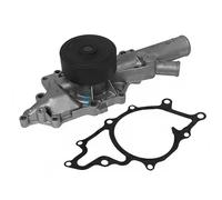 DAYCO DP290 Pompa acqua