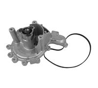 DAYCO DP294 Pompa acqua