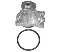 DAYCO DP310 Pompa acqua