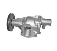 Dayco Pompa acqua DP311 per Fiat Panda / Seicento / Cinquecento