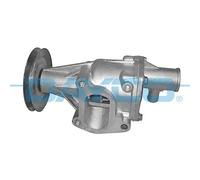 DAYCO DP311 Pompa acqua