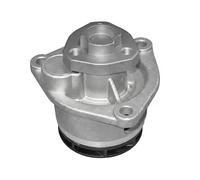 DAYCO Pompa acqua