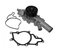 DAYCO DP317 Pompa acqua