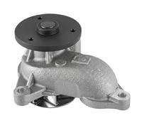 DAYCO DP324 Pompa acqua