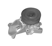 DAYCO Pompa acqua