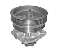 Dayco Pompa acqua DP327 per Fiat (Doblo Cargo, Stilo) e Lancia (Lybra, Delta II, Dedra)