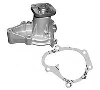 DAYCO DP341 Pompa acqua