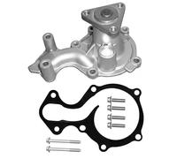 DAYCO DP386 Pompa acqua