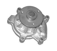 DAYCO Pompa acqua