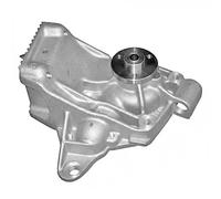DAYCO DP434 Pompa acqua