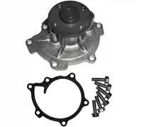 DAYCO DP456 Pompa acqua
