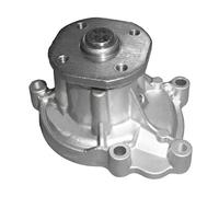 DAYCO DP534 Pompa acqua