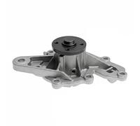 DAYCO DP567 Pompa acqua