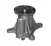 DAYCO DP570 Pompa acqua