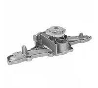 DAYCO DP733 Pompa acqua