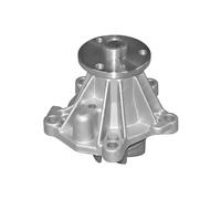 DAYCO DP759 Pompa acqua