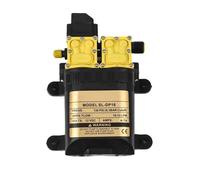 Pompa Acqua Dual Core Power 12V per Irrorazione Agricoltura e Irrigazione