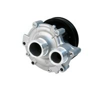 Pompa Acqua EBC10967 Con Coperchio Custodia Adatto A per Jaguar XJ6, XJR