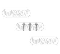 GRAF Pompa Acqua Elektrisch-Hydraulisch per BMW 3er F30 F80 F31 X3 F25 F23 E89