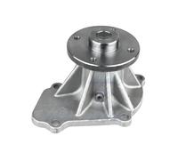 Dolz Pompa acqua F202 – Raffreddamento motore per Ford e Nissan