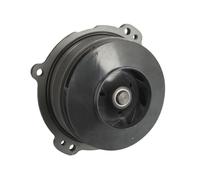 Pompa acqua FEBI 196930 per IVECO S-WAY 11.118 2019-