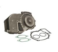 Pompa acqua FEBI 32184 MERCEDES-BENZ ACTROS 11.946 1996-2002