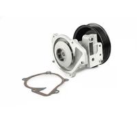 Pompa acqua FT57186 FAST per FORD LAND ROVER