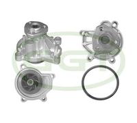 POMPA ACQUA GGT PA12481