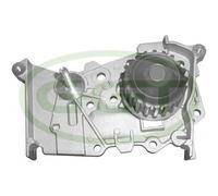 POMPA ACQUA GGT PA12666