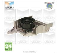 Pompa Acqua Graf Per Audi Cabriolet Coupe 100 A8 A6 80