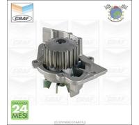 Pompa Acqua Graf Per Citroen Berlingo Evasion Xantia Jumper Xsara Jumpy C5 I C15