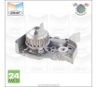 Pompa Acqua Graf Per Renault Megane Kangoo Clio