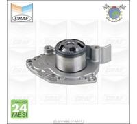 Pompa Acqua Graf Per Renault Trafic Scenic Megane Laguna Espace Grand Clio Vel