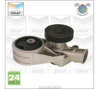 Pompa Acqua Graf Per Skoda Felicia