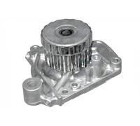 DOLZ H133 Pompa acqua