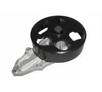 DOLZ H135 Pompa acqua