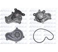 Pompa acqua H147 DOLZ per HONDA ACCORD VII Tourer ACCORD VII