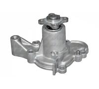 DOLZ H202 Pompa acqua